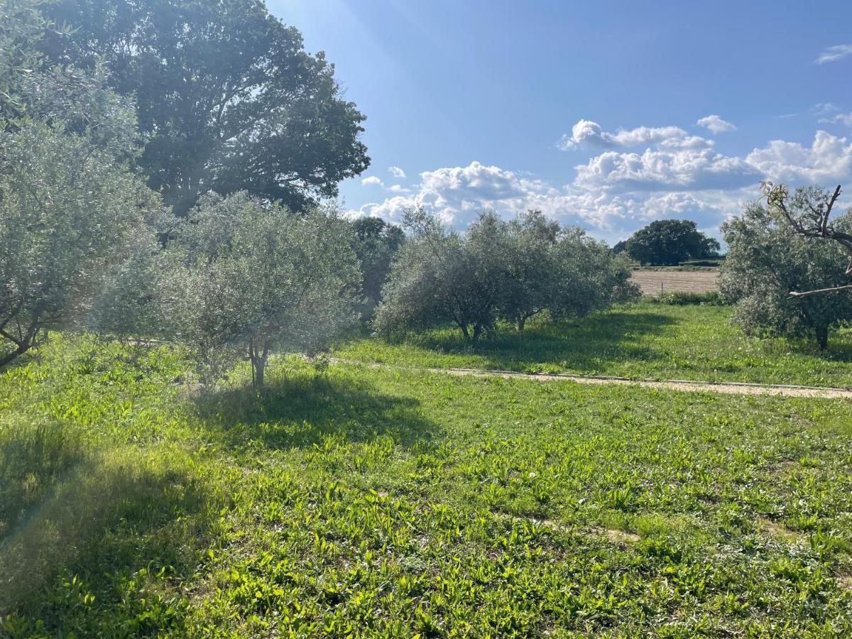 Lurs Sous Les Etoiles En Provence, Gite Les Grands Chenes מראה חיצוני תמונה