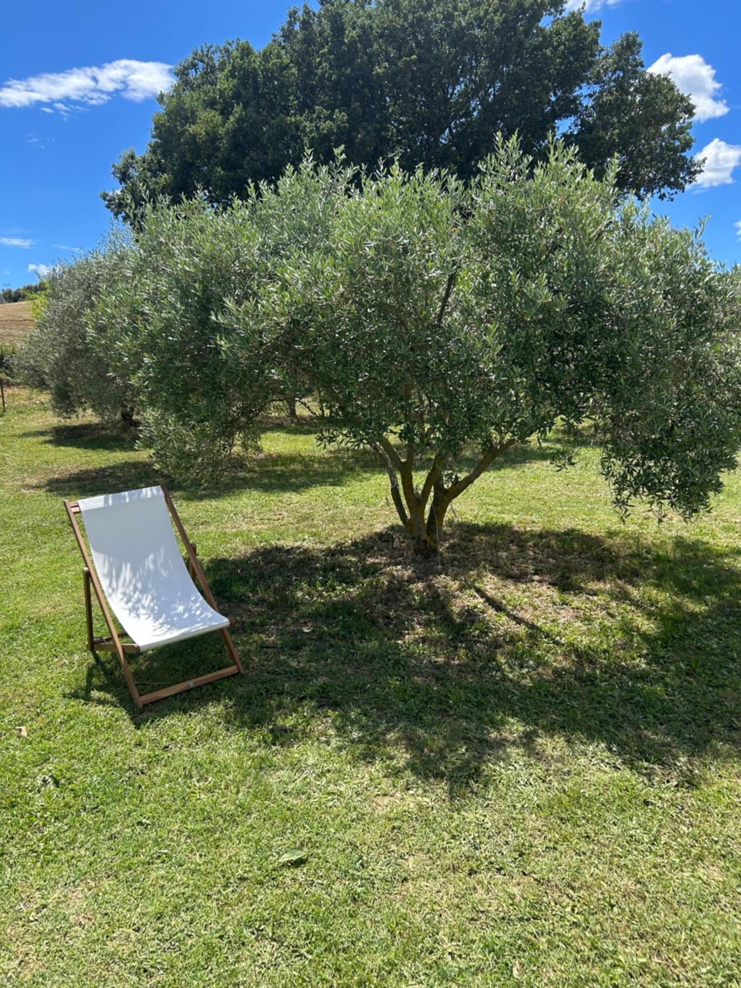 Lurs Sous Les Etoiles En Provence, Gite Les Grands Chenes מראה חיצוני תמונה