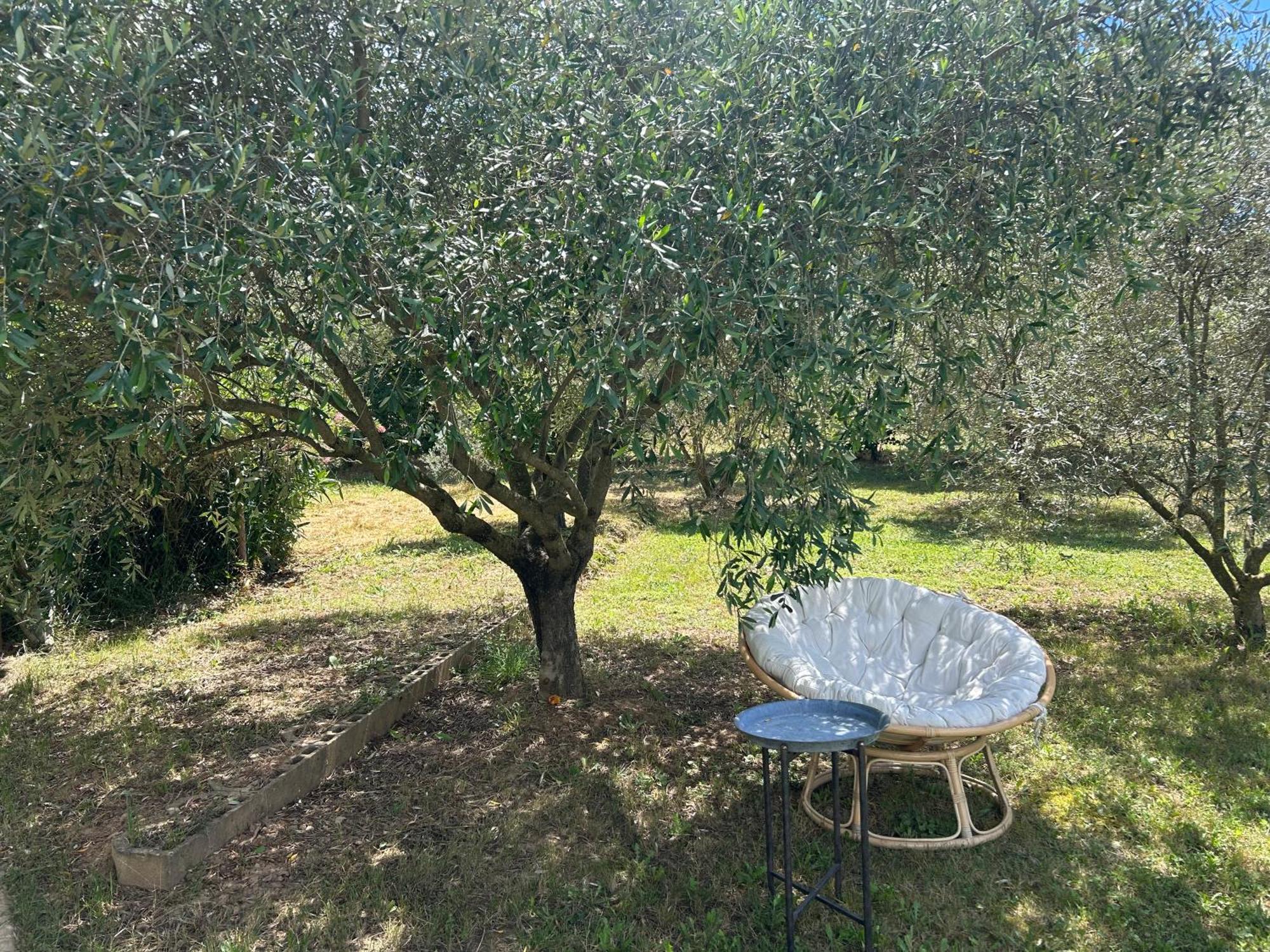 Lurs Sous Les Etoiles En Provence, Gite Les Grands Chenes מראה חיצוני תמונה