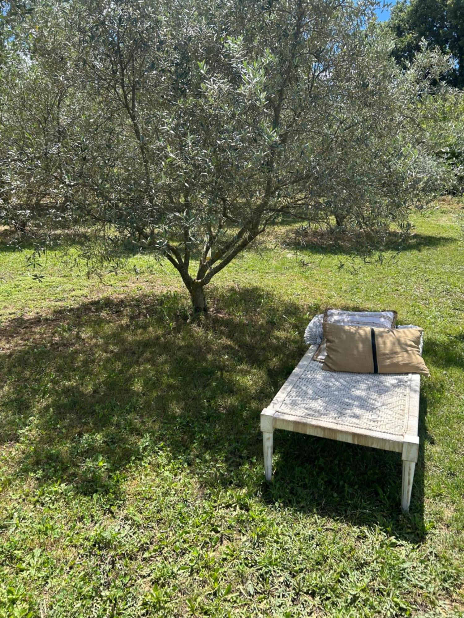 Lurs Sous Les Etoiles En Provence, Gite Les Grands Chenes מראה חיצוני תמונה
